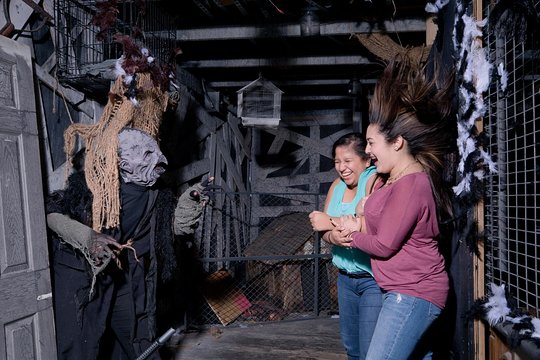 Tour image 7
